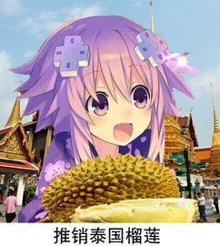 娱乐吃瓜酱大冒险